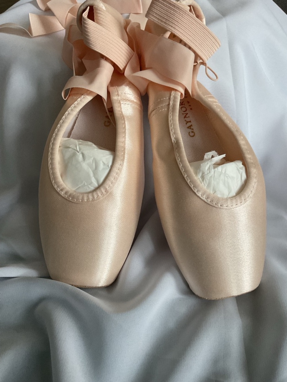 Gaynor Minden Sculpted Pointe Shoe with Elastics and Ribbon